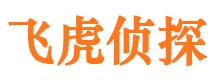 浑源侦探公司